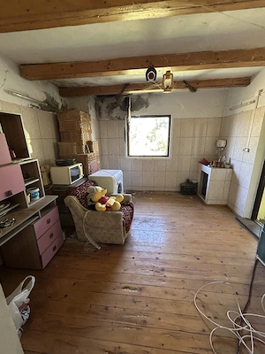 Gradină în suprafața de 2798 mp + casa din piatră renovabilă - imagine 9