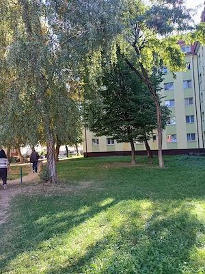 Inchiriez apartament cu doua camere plus sufragerie in Decebal - imagine 10