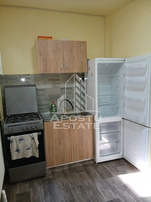 Apartament cu 1 camera de închiriat,zona Dambovita - imagine 3