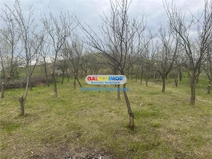 Vindem teren 2200 mp in Calinesti-Vranesti - imagine 8