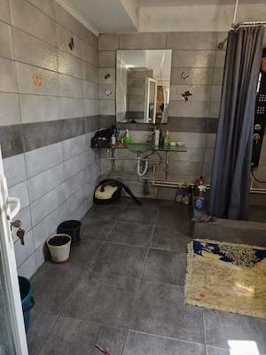 Casă P+1 cu 9.000 mp teren, livadă, foișor cu beci și pădure în spate | Bogați, Argeș - imagine 7