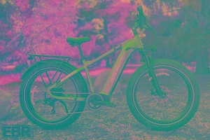 Bibicleta electrica Mokwheel asalt