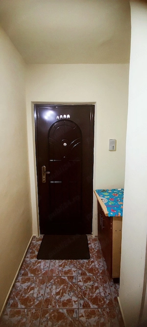 Mircea Cel batran Timișoara etaj 2 ..apartament cu 1 camera - imagine 13