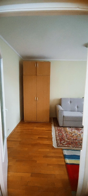 Mircea Cel batran Timișoara etaj 2 ..apartament cu 1 camera - imagine 16