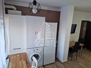 Apartament cu 2 camere, de inchiriat, in zona Lipovei, Timisoara - imagine 8