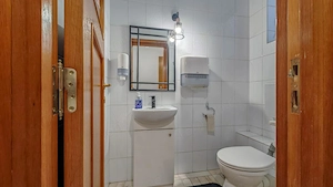 Vila premium 7 camere de inchiriat Herastrau - imagine 10