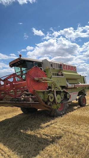 Claas mega 204 masa grâu 5 metri  - imagine 5