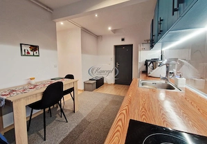 Apartament mobilat modern si utilat in Floresti - imagine 10