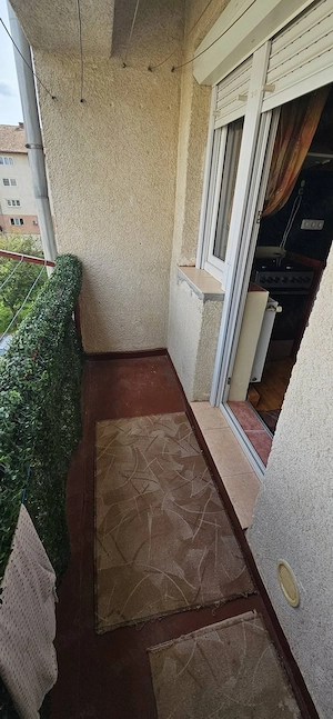 Apartament 2 camere de vânzare   Satu Mare, Carpați II - imagine 6