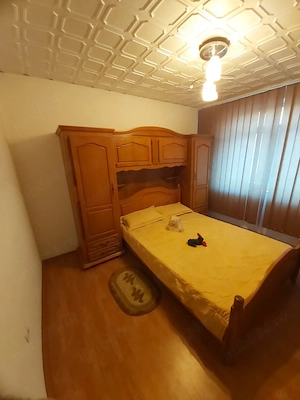 Apartament Baile Herculane - imagine 4