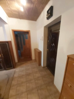 Apartament Baile Herculane - imagine 7