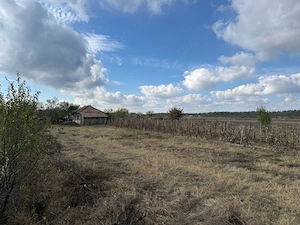 Teren intravilan de vânzare   1.200 mp   Cazaci, Dâmbovița   30.000  