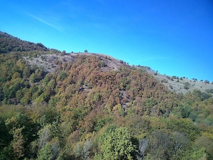 Teren in Apuseni Valisoara - imagine 2