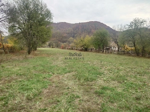 Teren intravilan 2500mp Criscior - imagine 10