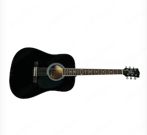 Chitara acustica Pulse + husa