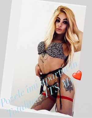 Millf Transex Pofticioasa Dominatoare activa 18 Realii