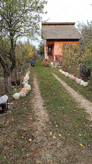 Vand sau schimb casa in Vintu de Jos, strada recent modernizata - imagine 6