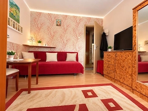 Apartament 3 camere, 55 mp utili, renovat recent, parter - Mures  - imagine 3