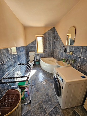 Casa Lunca comuna Baita - imagine 7
