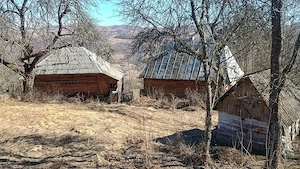 Casa la munții Apuseni. - imagine 2