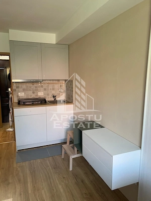 Garsoniera de inchiriat, în zona Buziasului/Aem, Timisoara - imagine 3
