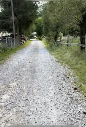 Teren de vânzare,Pojorata Suceava Transrarau.  - imagine 4