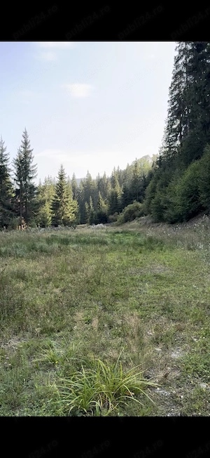 Teren de vânzare,Pojorata Suceava Transrarau.  - imagine 8