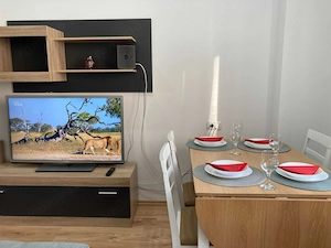Apartament 2 camere Rin Grand Vitan - imagine 3