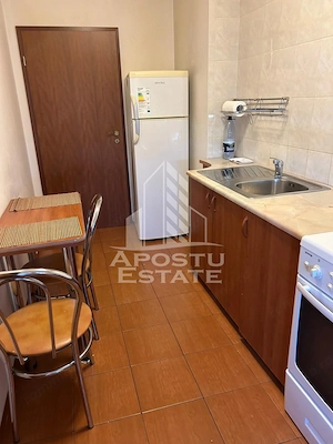 Apartament cu 2 camere de inchiriat, zona Aradului, Timisoara - imagine 4