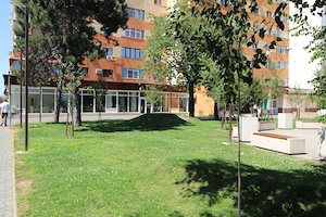 Spațiu Comercial, 250 mp, Municipiul Târgu-Jiu - imagine 2