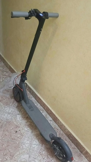 Schimb tot ce se vede cu ponei 