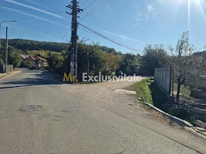 Teren 2121 mp în Topoloveni, - str. Inuri - imagine 4