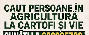 Angajam.femei și bărbați 