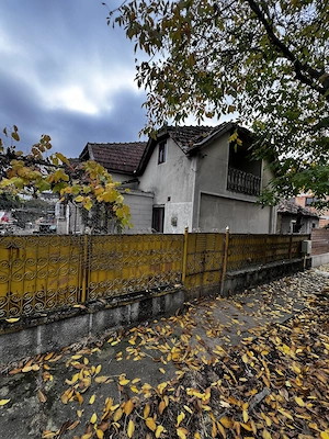 Casa de vânzare - Plopi Timișoara preț 170000 negociabil - imagine 11