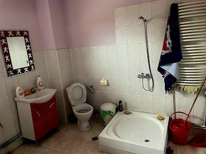 Spatiu comercila zona Liviu Rebreanu,382 mp - imagine 5
