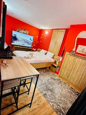 Vila 5 camere P+2+terasa - Str. Republicii - Brasov - imagine 5