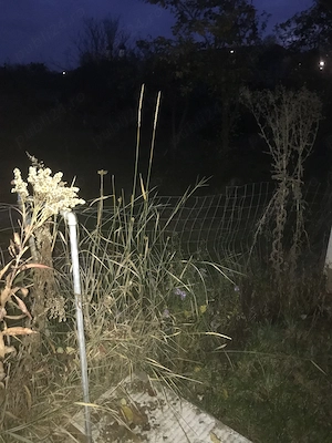 Vand casa la tara aproape de Campia Turzii - imagine 4