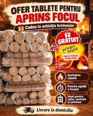 Brichete de rumeguș Premium pt FOC - Ardere indelungata, putere calorica mare - 1.5 lei kg