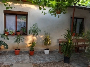 Vând casă urgent Cadea Bihor - imagine 6
