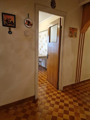 APARTAMENT 3 CAMERE –  BANAT+ BOXĂ - imagine 8
