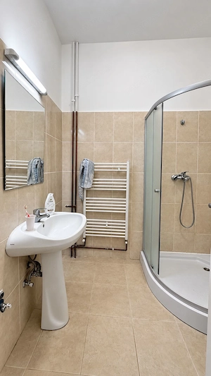 Apartament cu 1 cameră de închiriat – Complexul Studențesc - imagine 6
