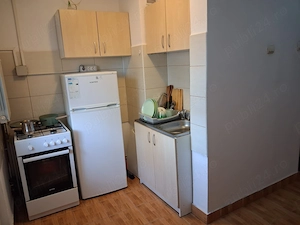 Apartament 1 camera  Manastur zonaFlora  - imagine 4