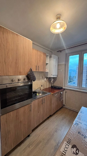 vand apartament 2 camere pe Calea București  - imagine 7