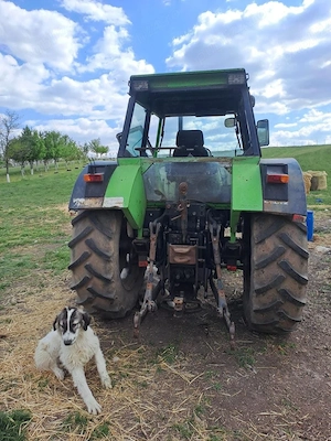 Deutz DX 110 de vanzare  - imagine 2