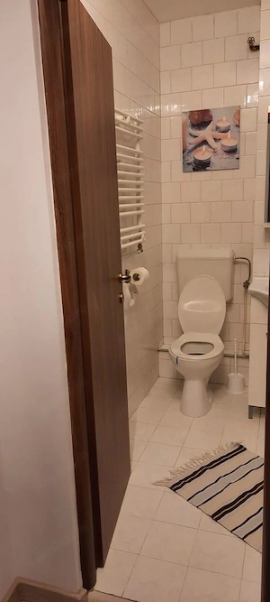 Apartament cu 2 camere de închiriat   zonă excelentă, aproape de Iulius Mall - imagine 7