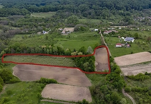 Vânzare teren cu livadă. Înconjurat de pădure