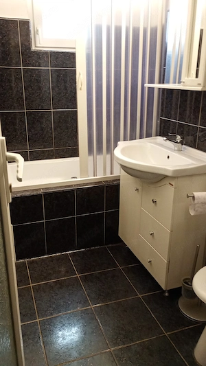 Timișoara Proprietar inchiriez apartament  - imagine 5